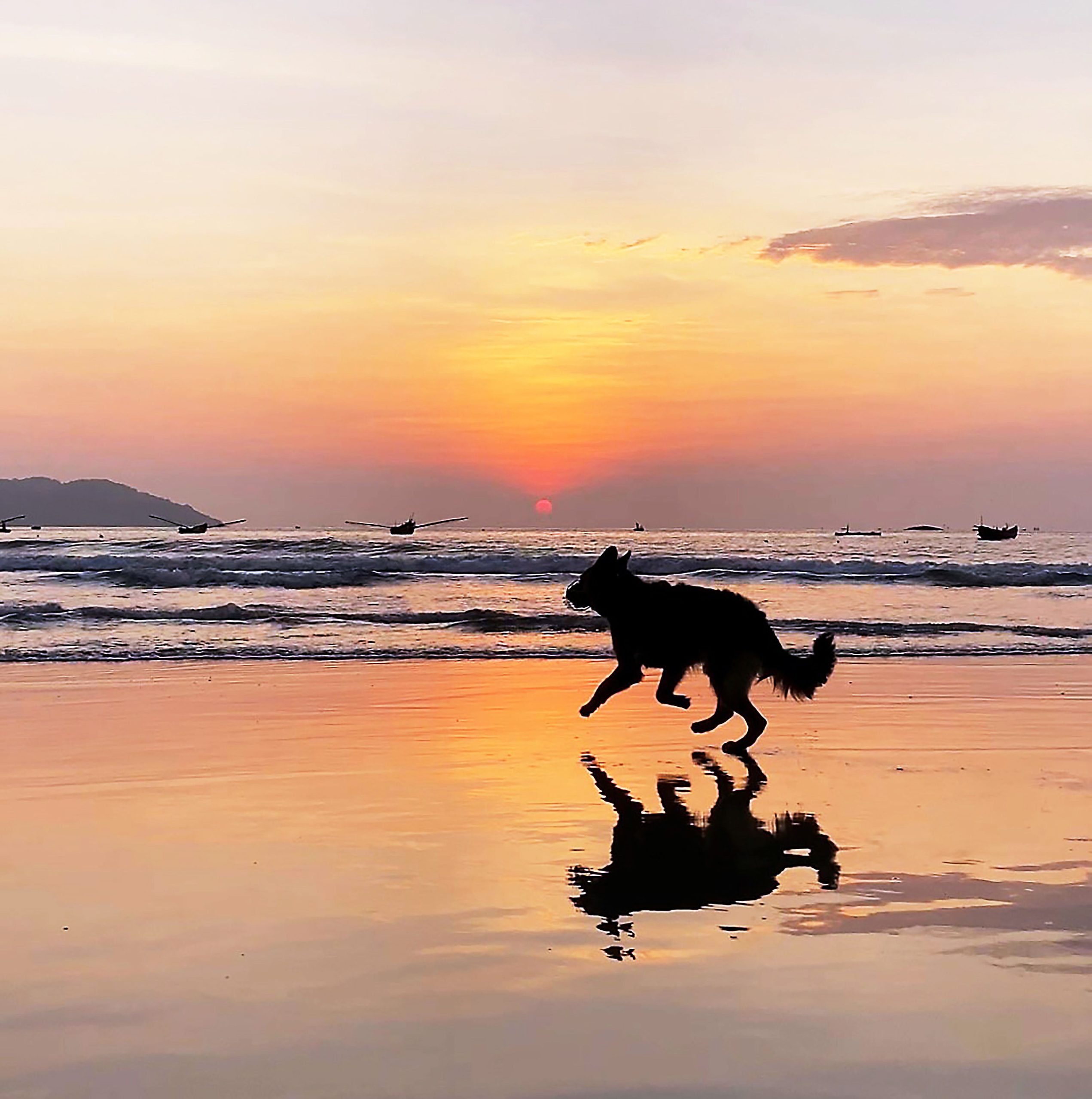 海に山にドライブ。お気に入りは自然と触れ合えるスポット