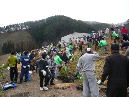 参加者は協力し合い一本一本植樹を行った