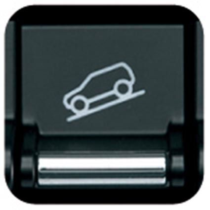 ヒルディセントコントロールスイッチ