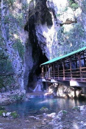 今年度から秋芳洞など3洞と提携、萩と防府の大河ドラマ館も優待施設に