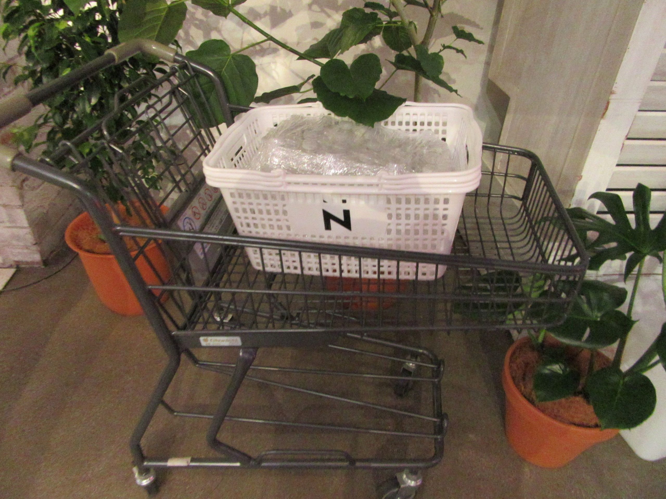 開発現場では買い物用カートやマイバスケットで使い勝手を確認した