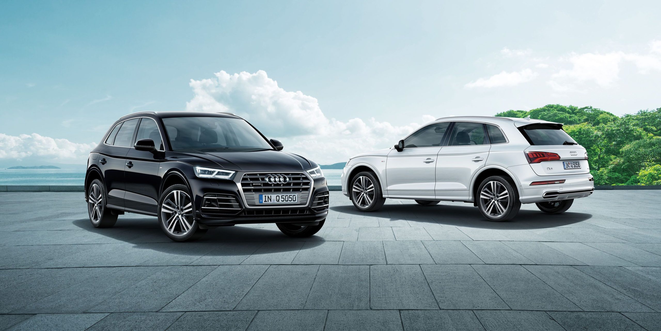 アウディQ5 Sライン・ダイナミック・リミテッド