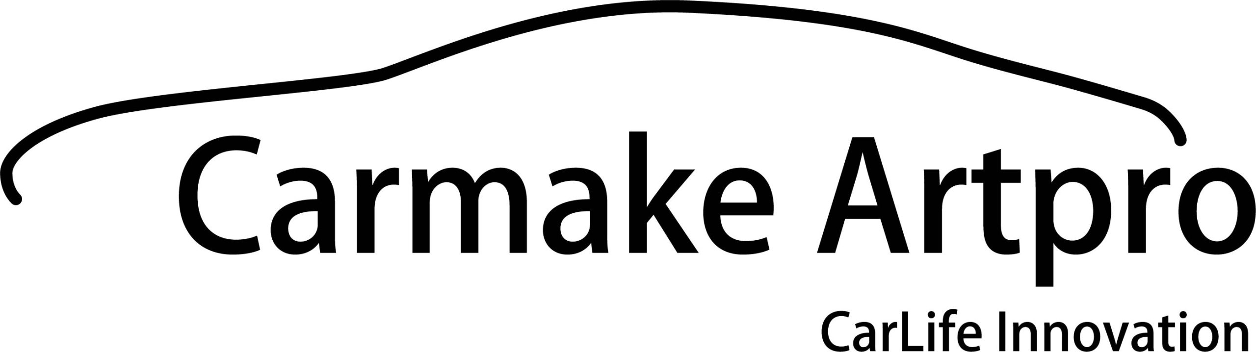 カーメイクアートプロ