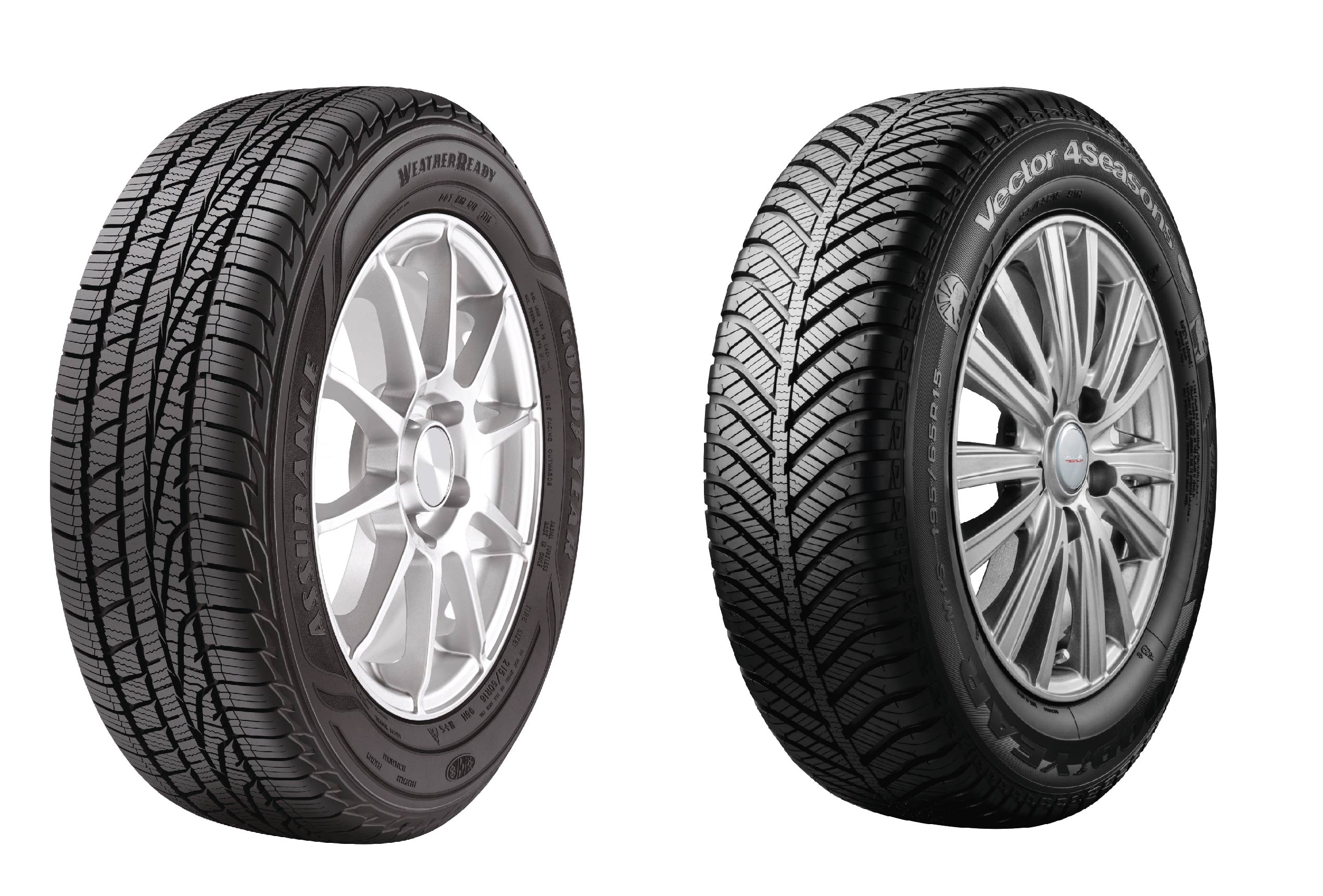 アシュアランスウェザーレディ(左)、ベクターフォーシーズンズ(右)