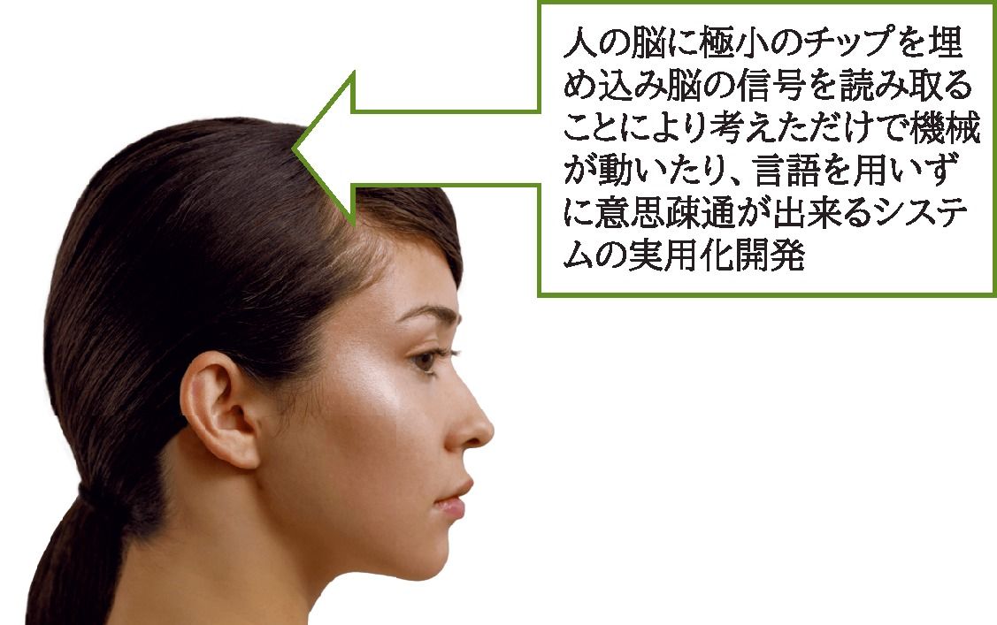 写真3 脳にチップを埋め込むシステム 会社説明サイトより