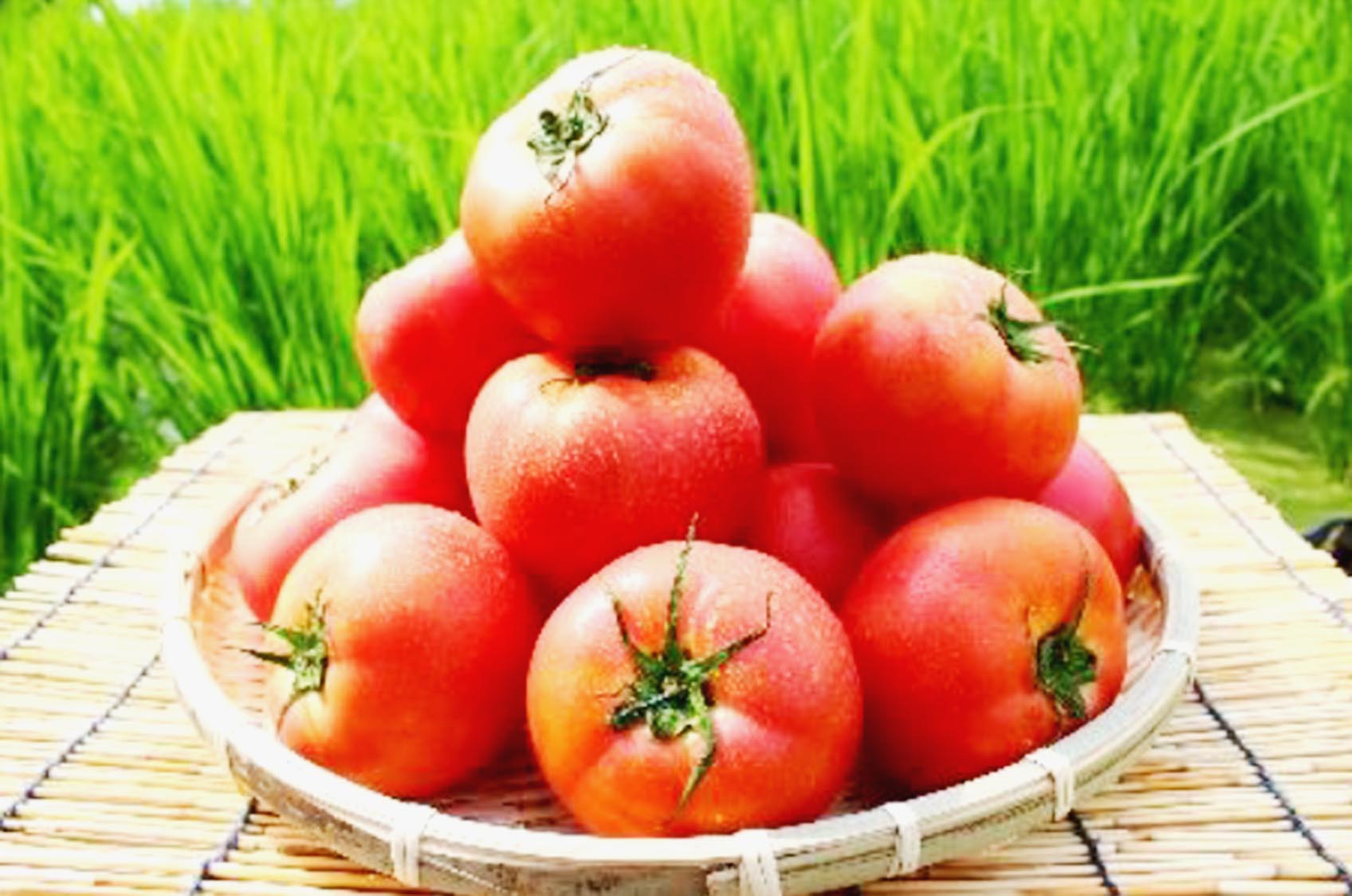 トマト、白桃など地域農産品を貨客混載で輸送