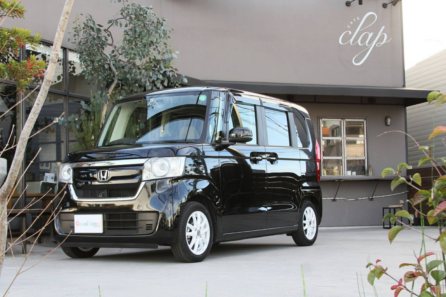 男女問わず人気のネージュホワイト