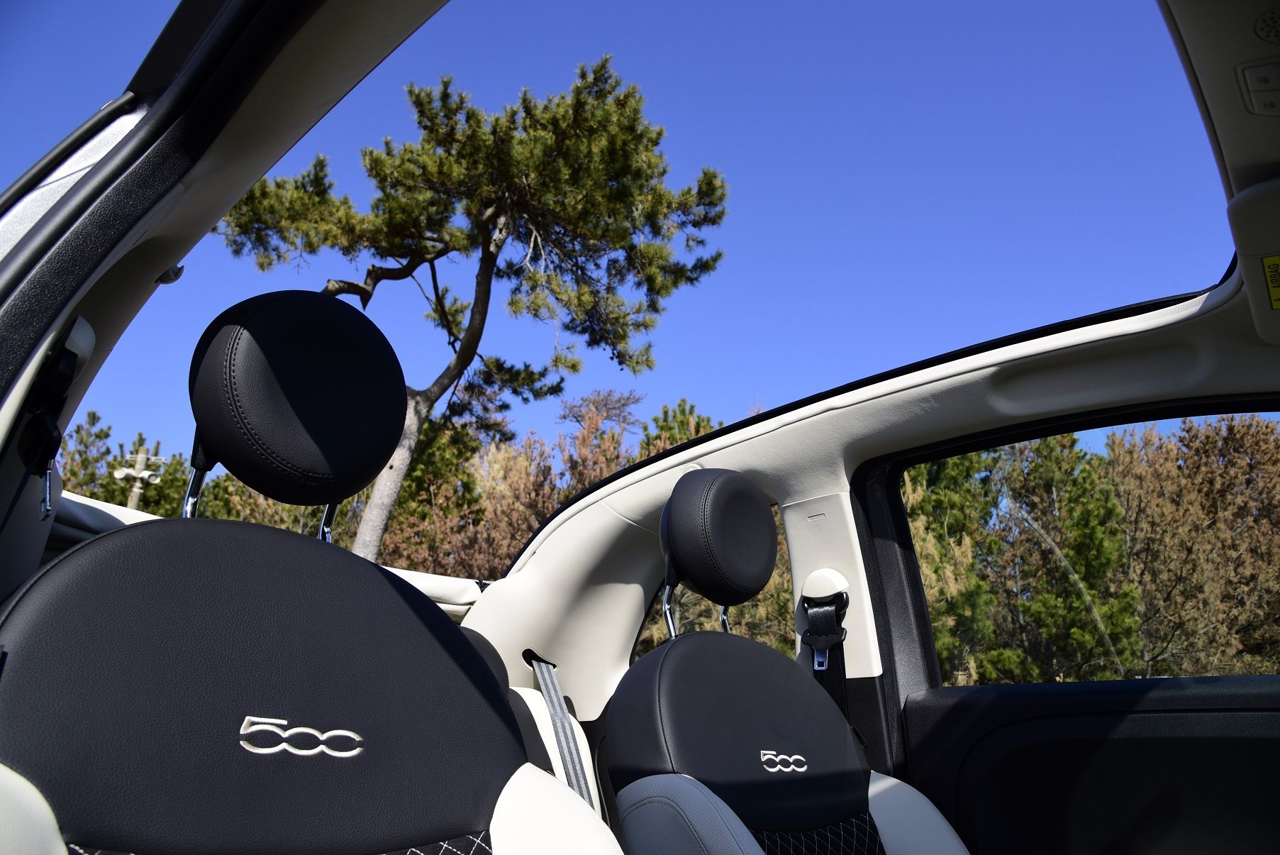 オープンドライブと実用性を両立した