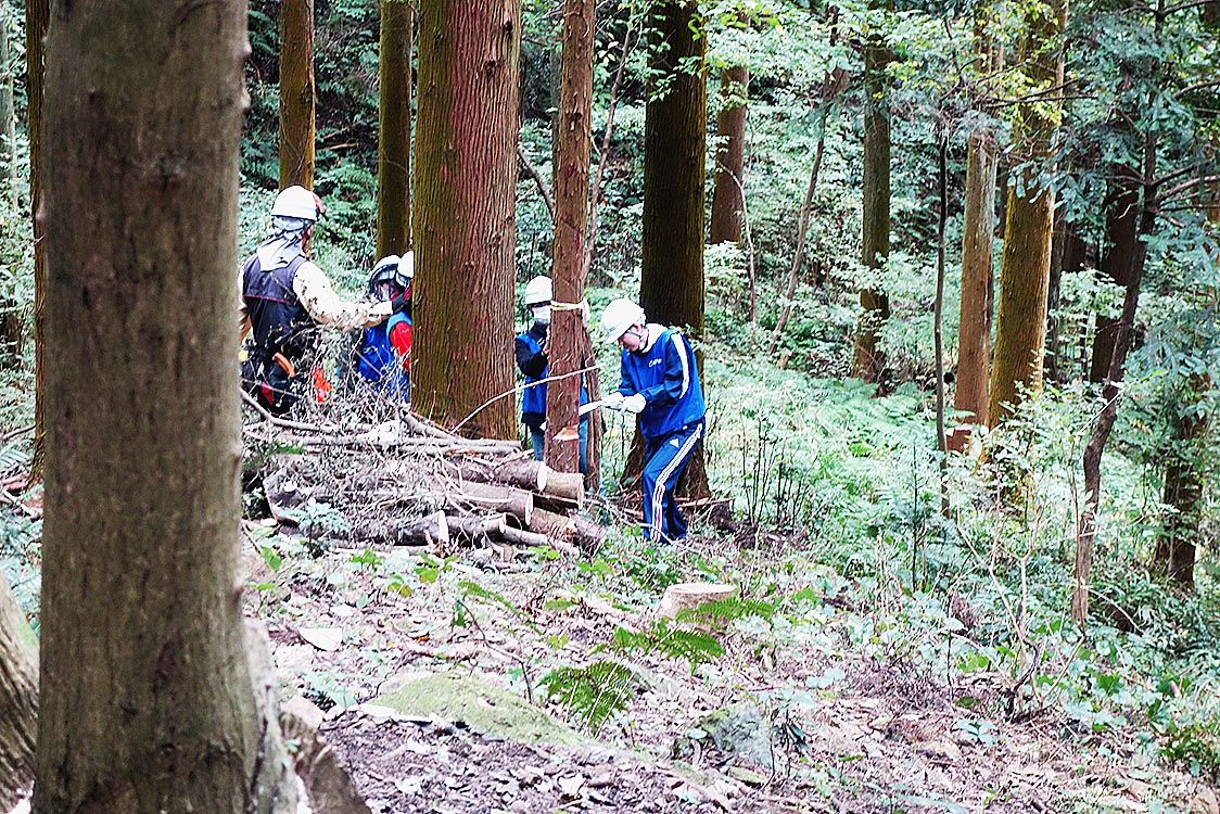 若手社員を中心に間伐作業に取り組んだ