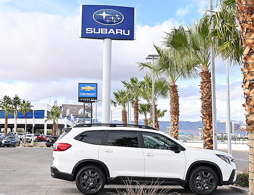 世界のブランドがしのぎを削る中、支持基盤を着実に固める