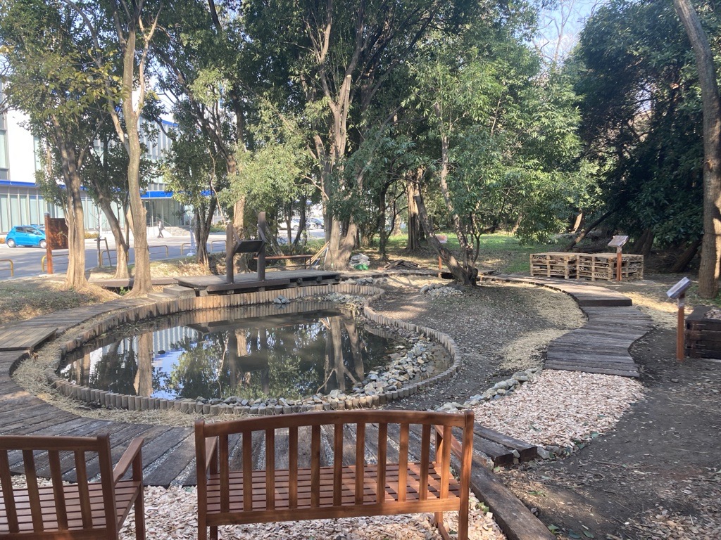 リニューアルされたビオトープ周辺