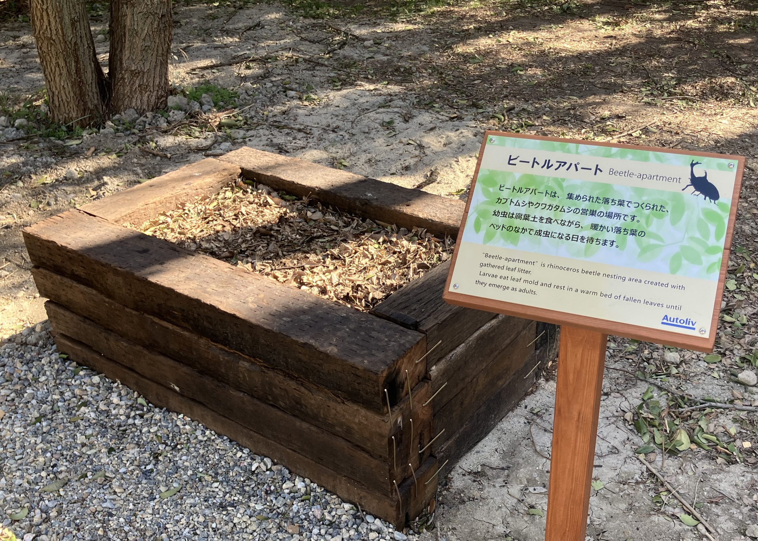 設置されたビートルアパート