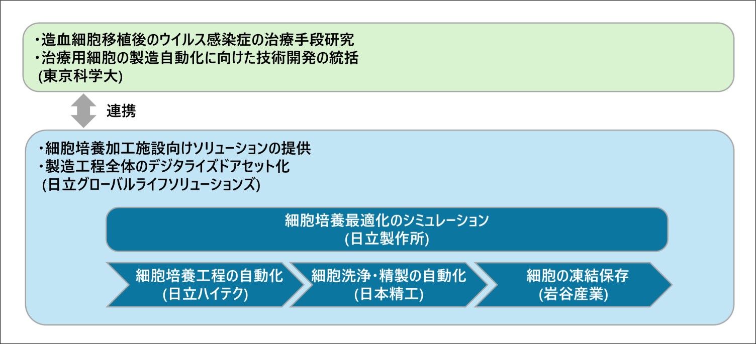 治療用細胞の製造自動化に向けた開発体制のイメージ