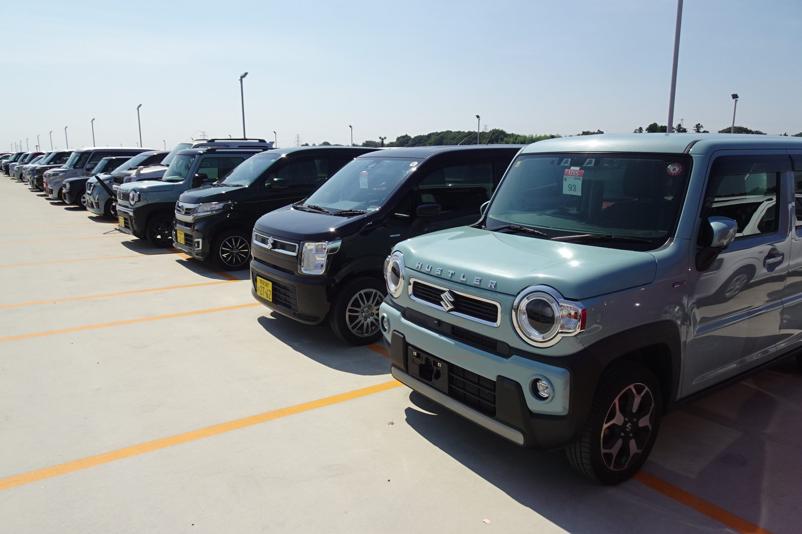 8月は各会場の集荷が順調だった