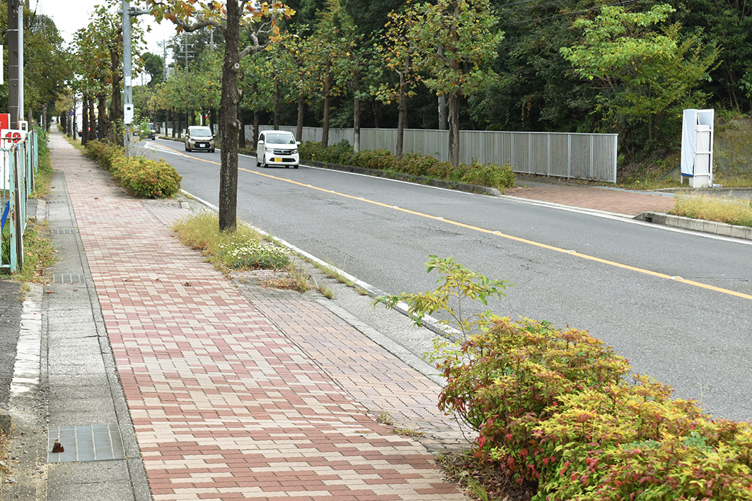 来春の日本GPでの推奨を検討しているルートの一つ。歩道が広く、安全が担保しやすい
